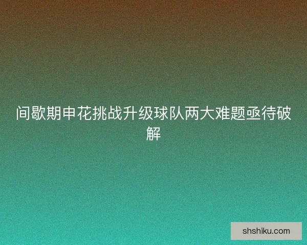 间歇期申花挑战升级球队两大难题亟待破解